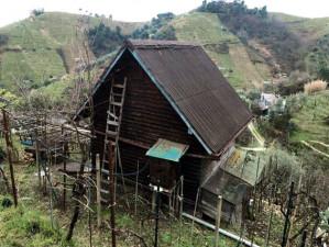 immobile terreno all'asta in Colline del Candia, Via dell'Uva - 54100 Massa (MS) - 3