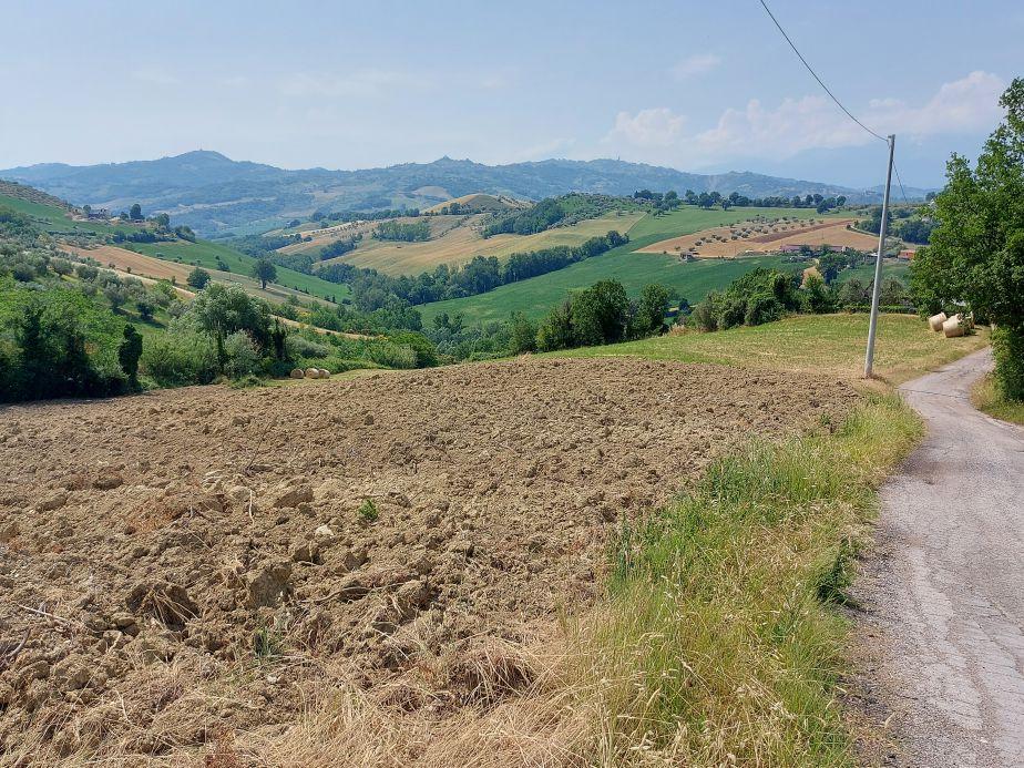 immobile terreno all'asta in Frazione Poggio Cono, Località Cerreto Teramo (TE) - 1