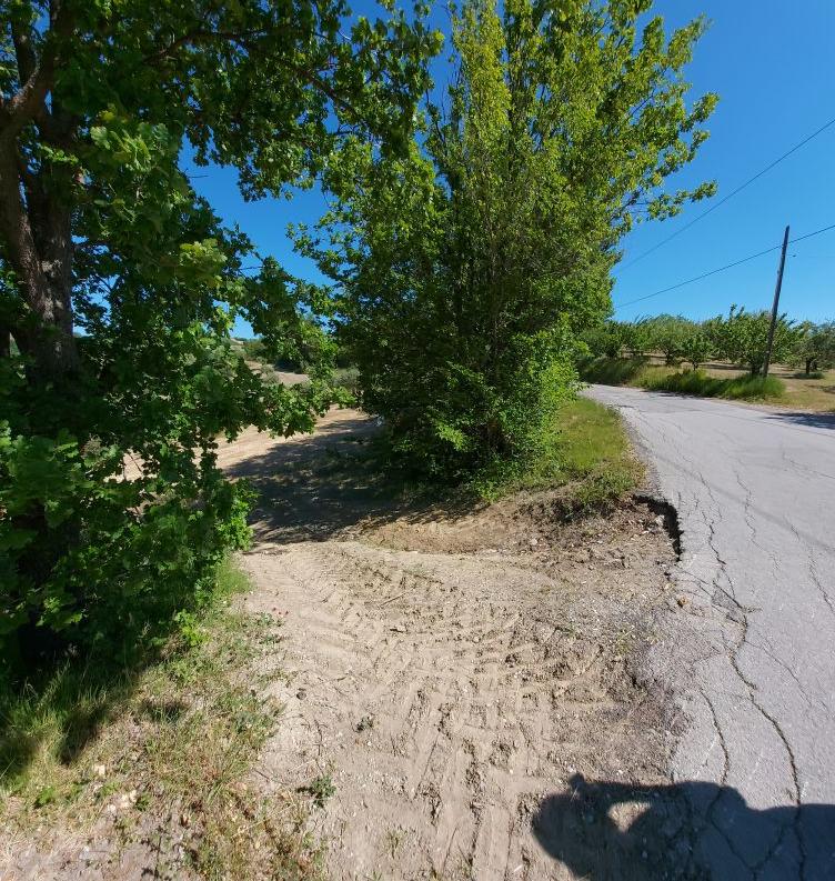 immobile terreno all'asta in Frazione Poggio Cono, Località Cerreto Teramo (TE) - 3