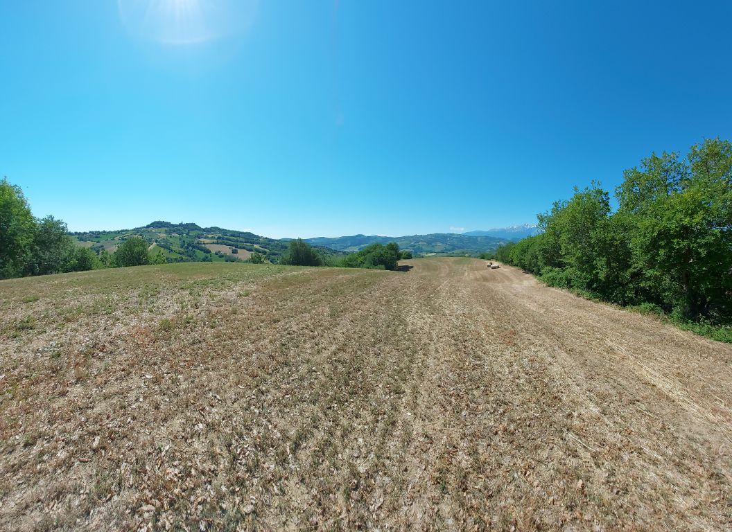 immobile terreno all'asta in Frazione Poggio Cono, Località Cerreto Teramo (TE) - 5