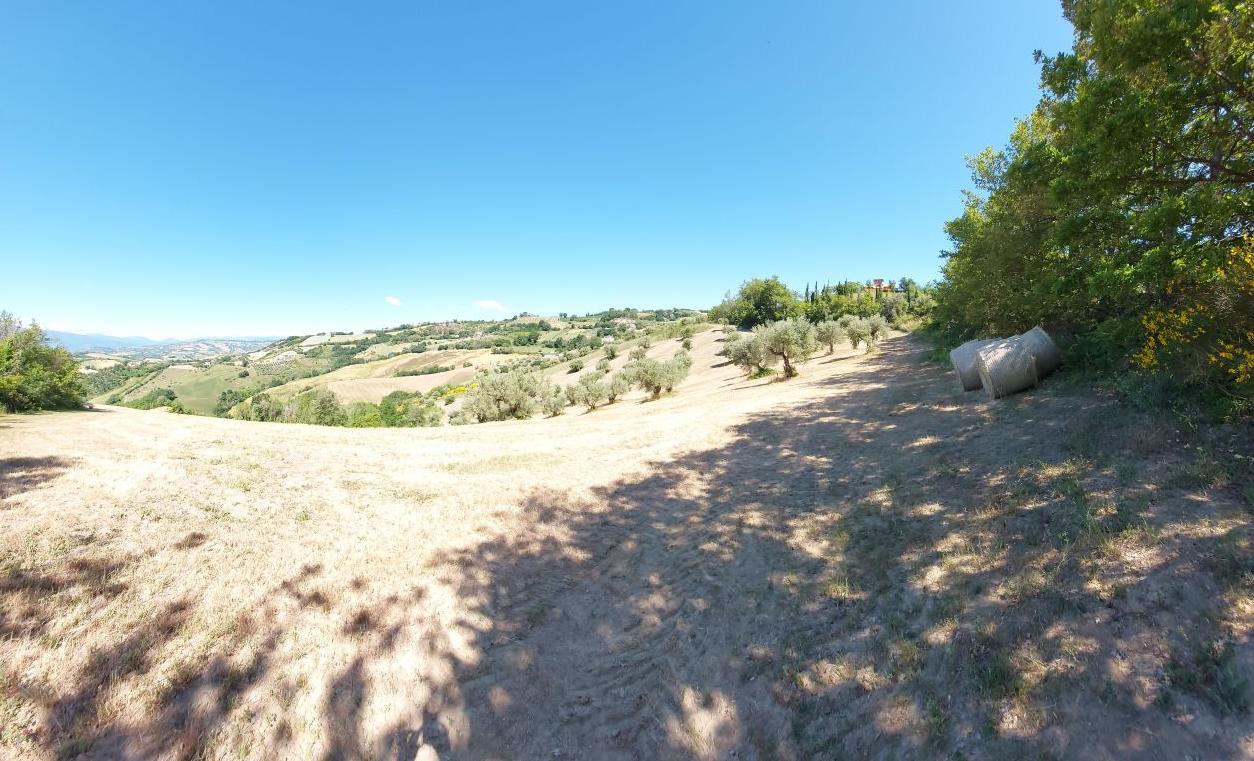 immobile terreno all'asta in Frazione Poggio Cono, Località Cerreto Teramo (TE) - 2
