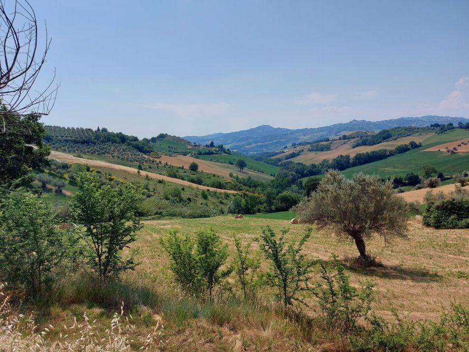 immobile terreno all'asta in Frazione Poggio Cono, Località Cerreto Teramo (TE) - 1