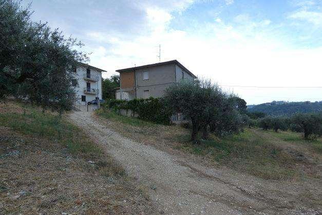 immobile terreno all'asta in Via salaria - 63030 Colli del Tronto (AP) - 2