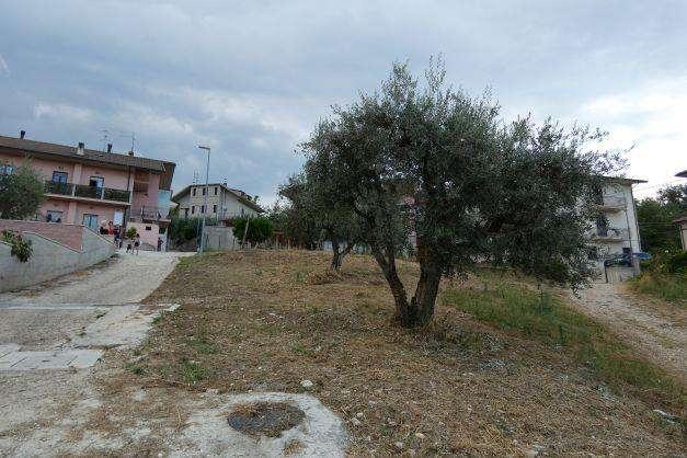 immobile terreno all'asta in Via salaria - 63030 Colli del Tronto (AP) - 3