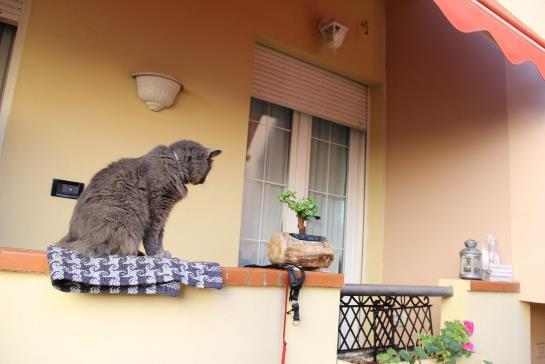 immobile appartamento all'asta in Via Napoli n 26 - 09032 Assemini (CA) - 3
