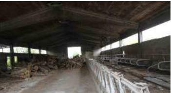 immobile attivita commerciale all'asta in Via Cavezzo n 18 Castegnato (BS) - 4