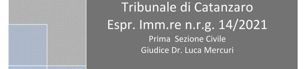 immobile negozio all'asta in Via Europa Unita n 25 Marcellinara (CZ) - 5