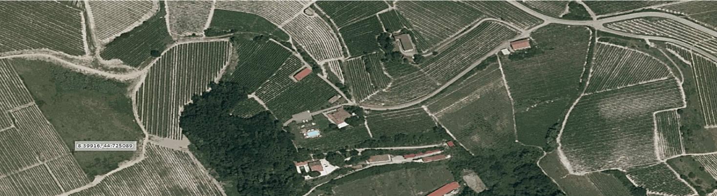 immobile attivita commerciale all'asta in Strada Acqui 19 Località La Maragliana Castel Rocchero (AT) - 1