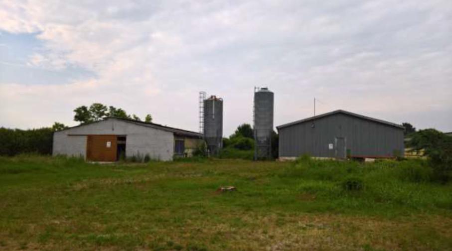 immobile capannone all'asta in Via delle Pozze, 23 - 33098 San Martino al Tagliamento (PN) - 1