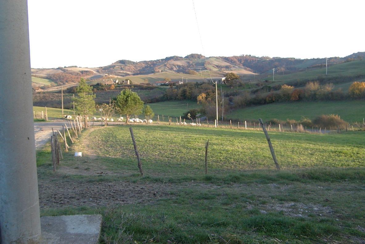 immobile terreno all'asta in loc case nardoni-San Giovanni delle contee Sorano (GR) - 1