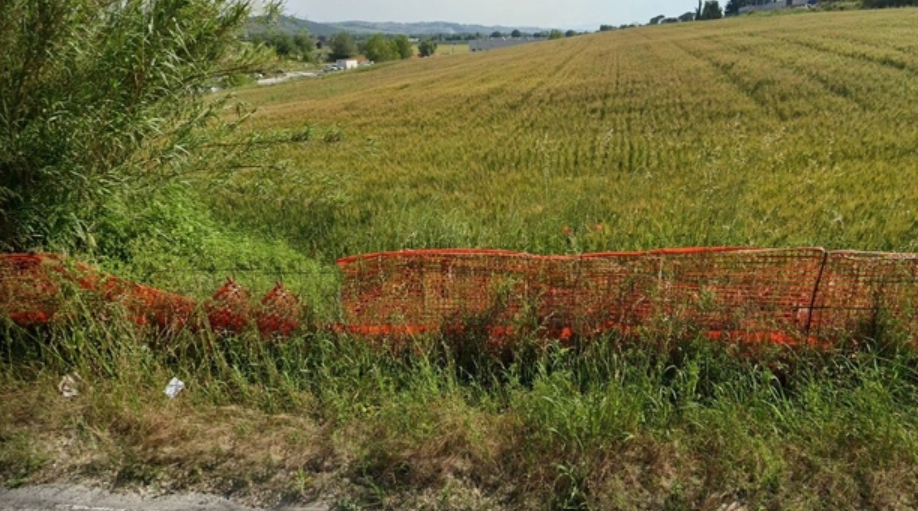 immobile terreno all'asta in via ildebrando goiran, n snc - 61037 Mondolfo (PU) - 1