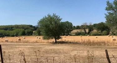 immobile terreno all'asta in Località Colle Comare - 00030 Genazzano (RM) - 4