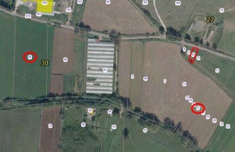 immobile terreno all'asta in Località Colle Comare - 00030 Genazzano (RM) - 3