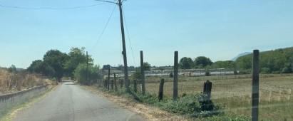 immobile terreno all'asta in Località Colle Comare - 00030 Genazzano (RM) - 2