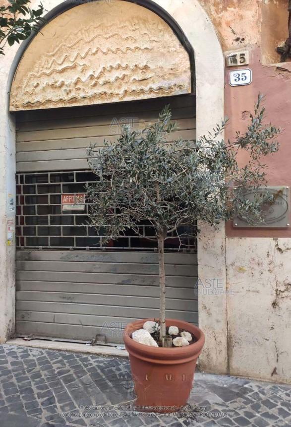 immobile negozio all'asta in Via Palatina nr 35 - 00019 Tivoli (RM) - 5