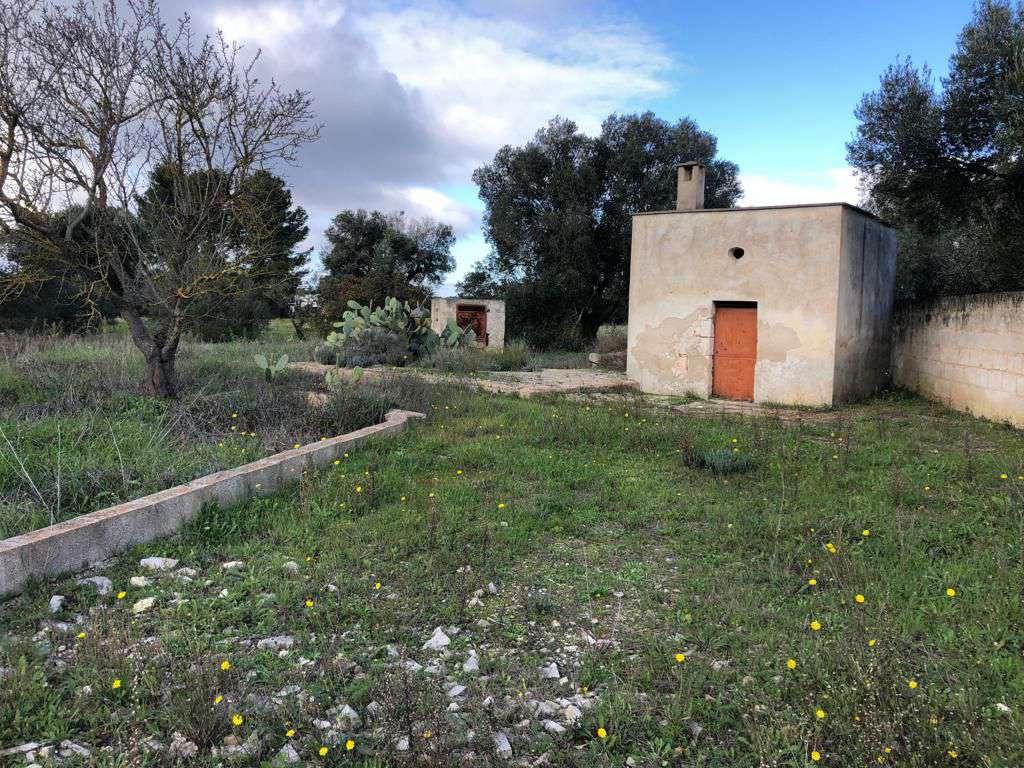 immobile terreno all'asta in contrada donnagnora - 72017 Ostuni (BR) - 1