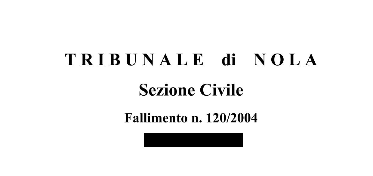 immobile attivita commerciale all'asta in VIA BUCCINO STAZIONE, SNC - AREA INDUSTRIALE - 84021 Buccino (SA) - 1