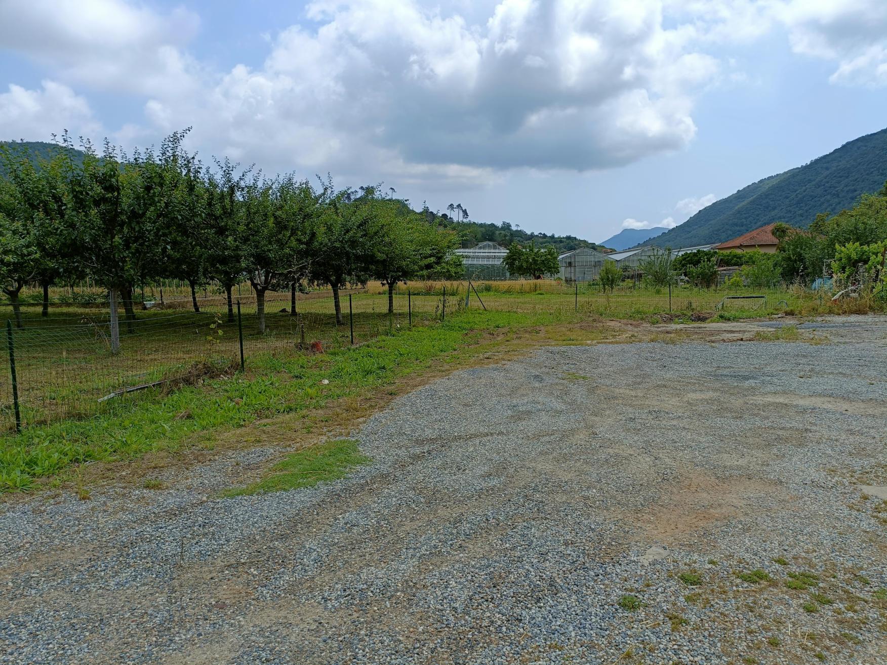 immobile terreno all'asta in Frazione Pogli, accesso Via Villa snc - 17037 Ortovero (SV) - 3