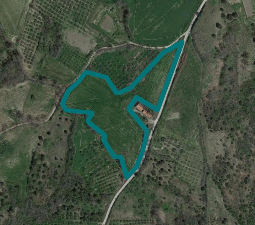 immobile terreno all'asta in Località Piana di Cecco Tufillo (CH) - 1