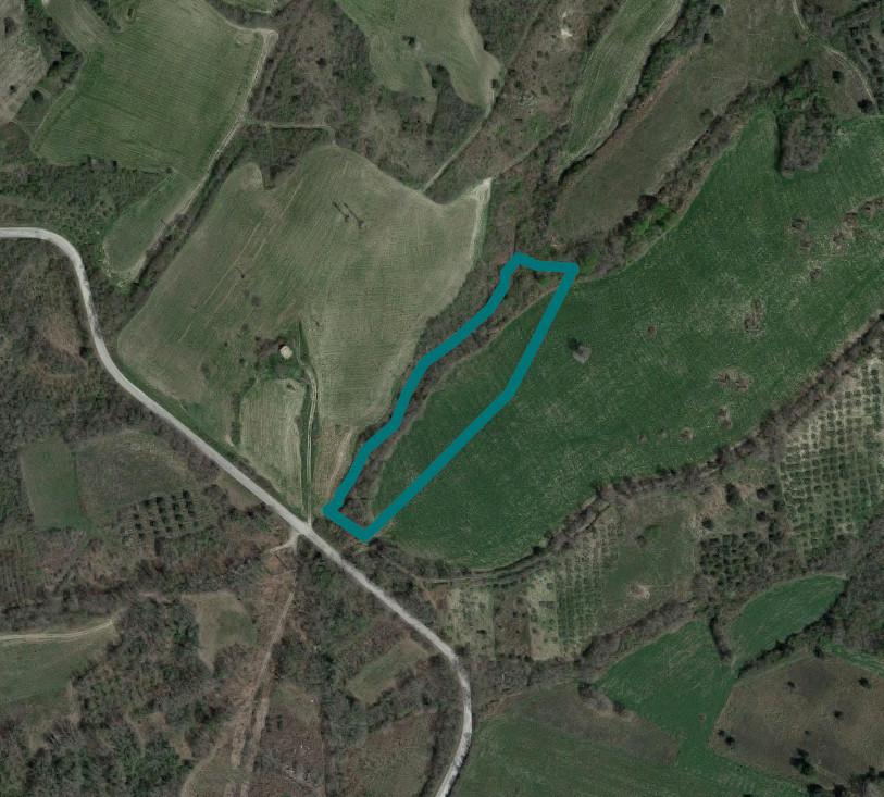 immobile terreno all'asta in Località Piana di Cecco Tufillo (CH) - 1