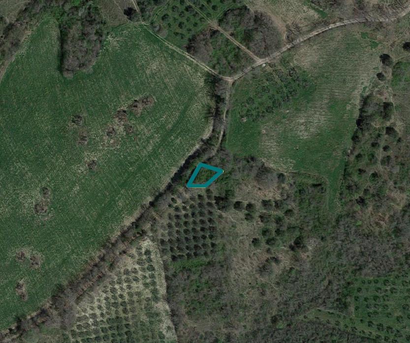 immobile terreno all'asta in Località Piana di Cecco Tufillo (CH) - 1