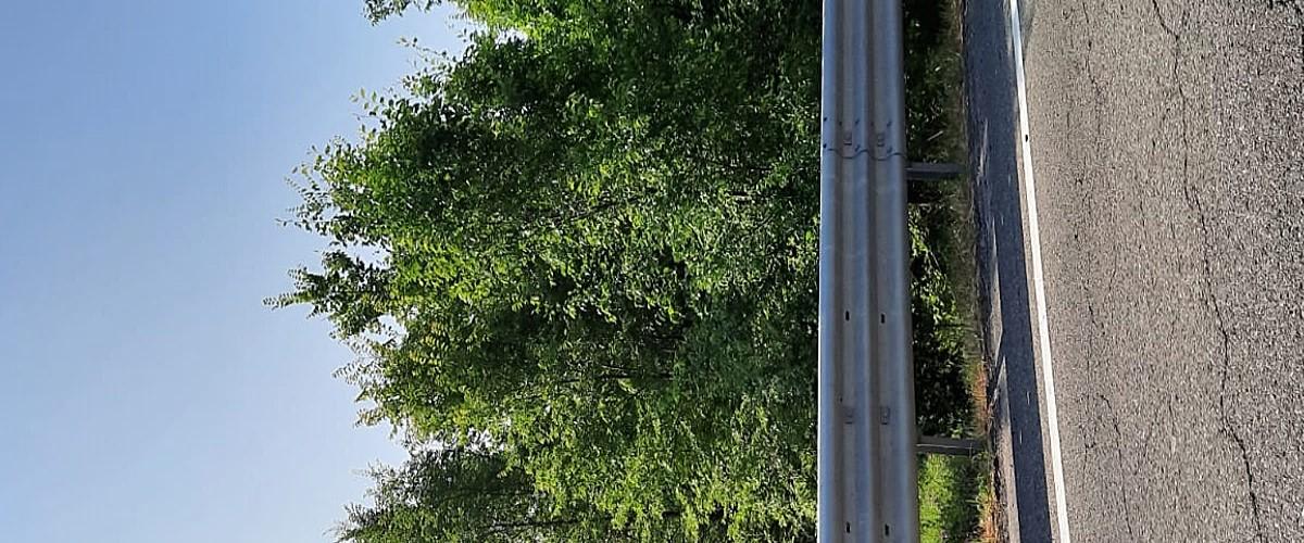 immobile terreno all'asta in Strada Provinciale 462 R - 29016 Cortemaggiore (PC) - 2