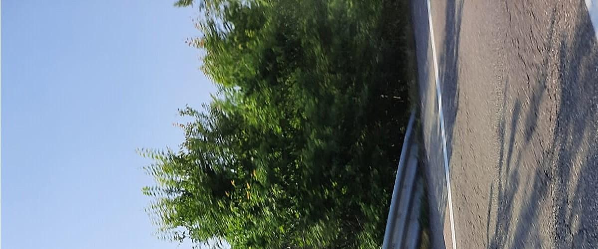 immobile terreno all'asta in Strada Provinciale 462 R - 29016 Cortemaggiore (PC) - 4