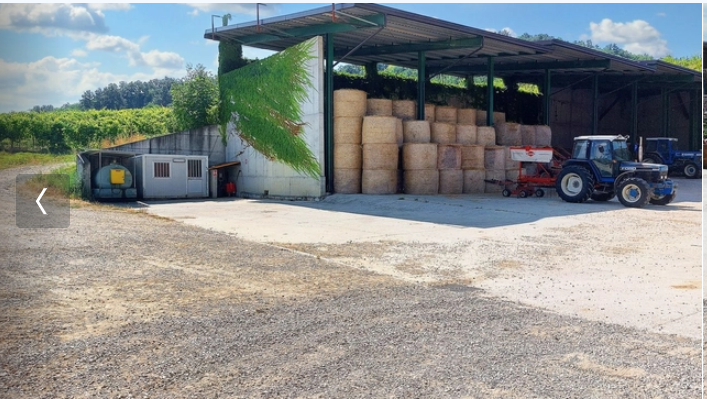 immobile attivita commerciale all'asta in localita frassineto, n snc - 29010 Pianello Val Tidone (PC) - 1