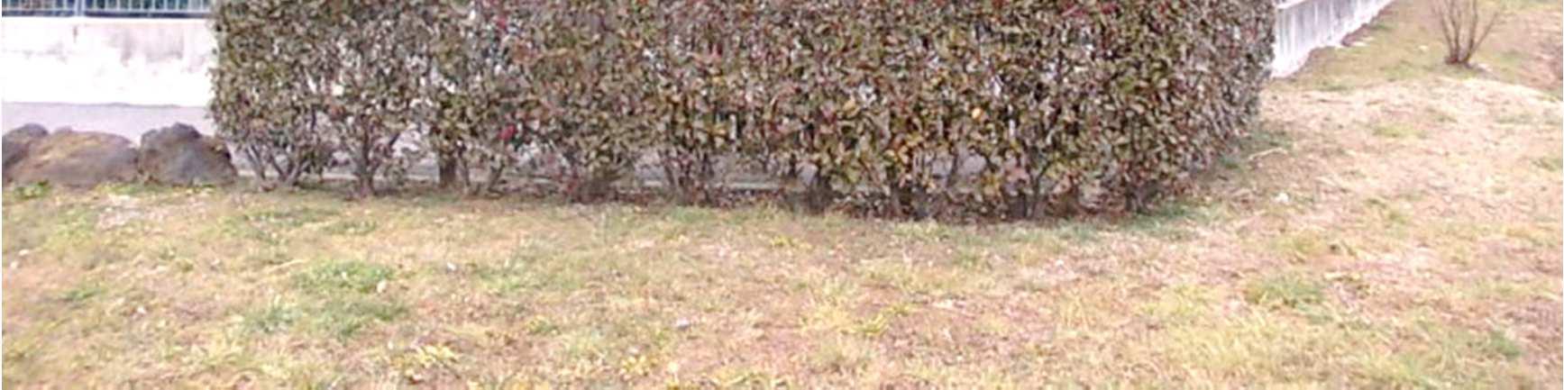 immobile appartamento all'asta in Via Cavalier Edoardo Baietti (ex Via Dante) 211 - 22070 Binago (CO) - 5