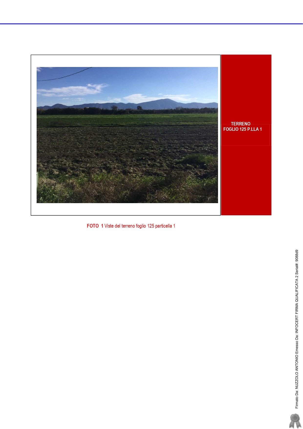 immobile terreno all'asta in Via Provinciale Campo Felice numero 15 - 81030 Cellole (CE) - 1