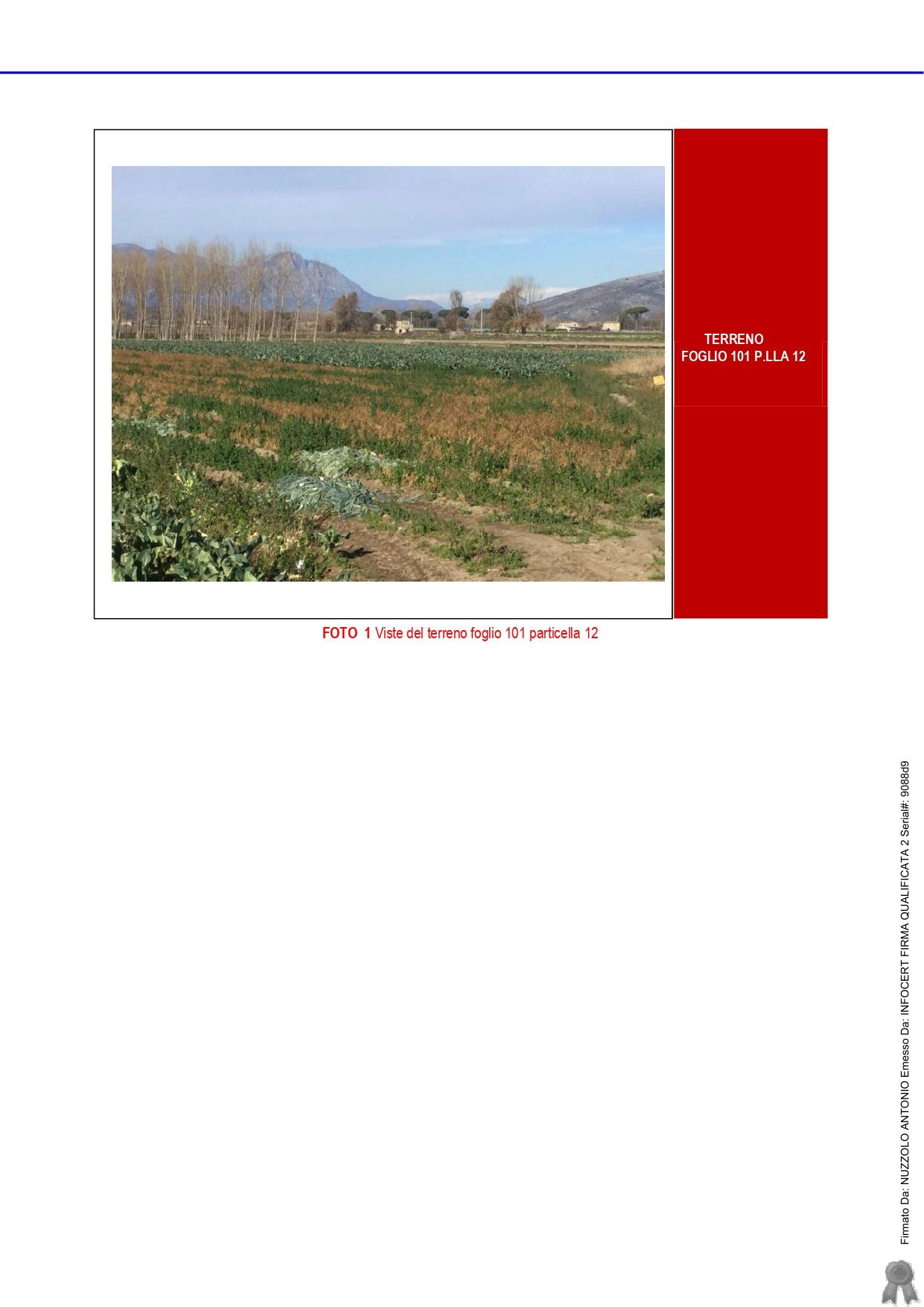 immobile terreno all'asta in Via Provinciale Campo Felice numero 15 - 81030 Cellole (CE) - 2
