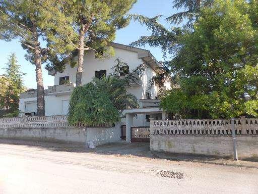 immobile fabbricato all'asta in Via dell'Artigianato 1 - 63815 Monte San Pietrangeli (FM) - 4