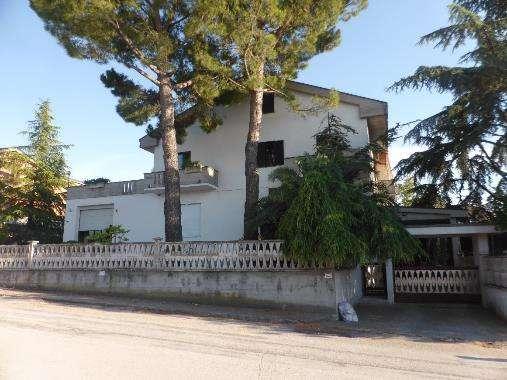 immobile fabbricato all'asta in Via dell'Artigianato 1 - 63815 Monte San Pietrangeli (FM) - 1