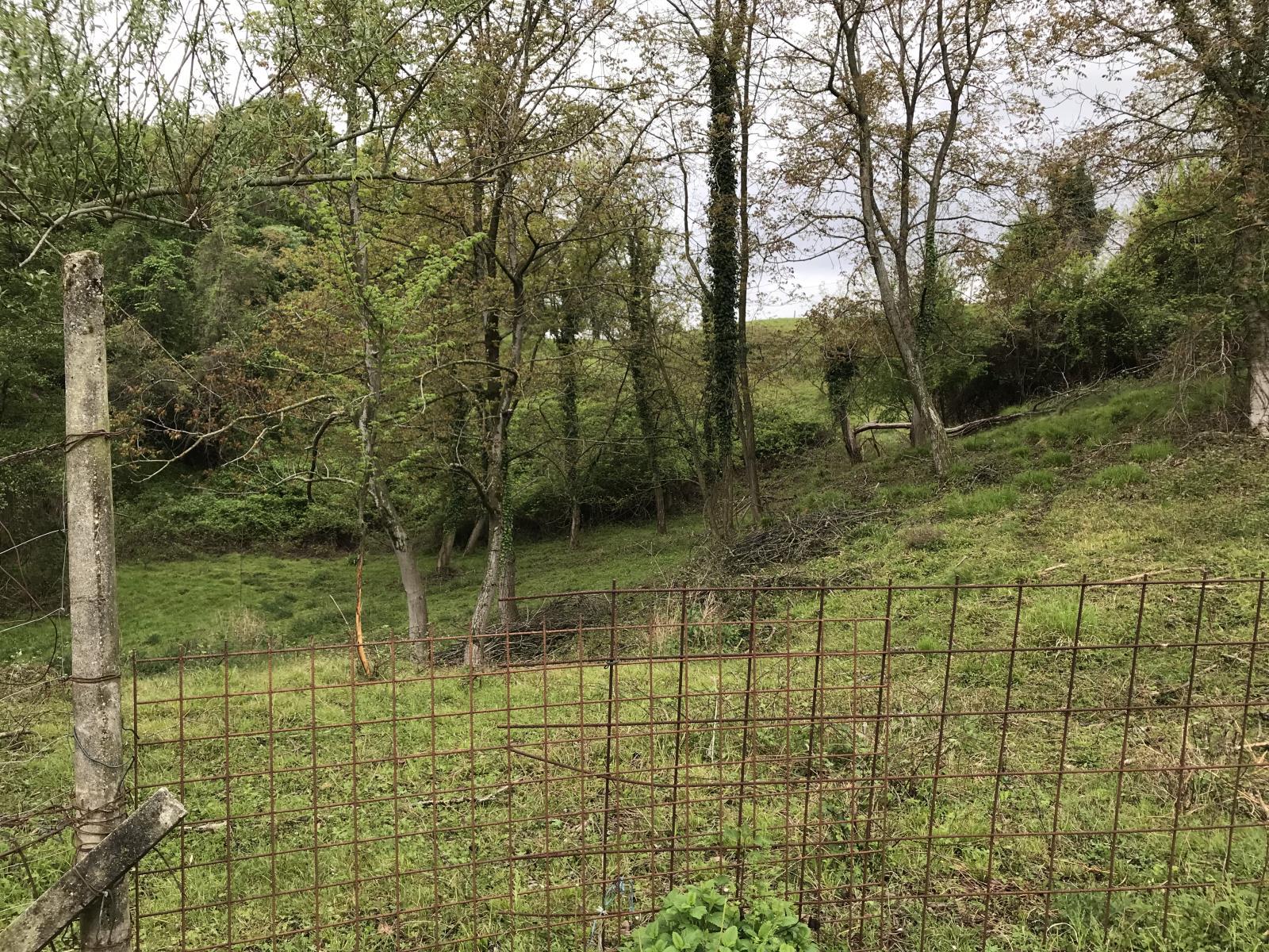 immobile terreno all'asta in Via Palazzo Neville - 31010 Monfumo (TV) - 3