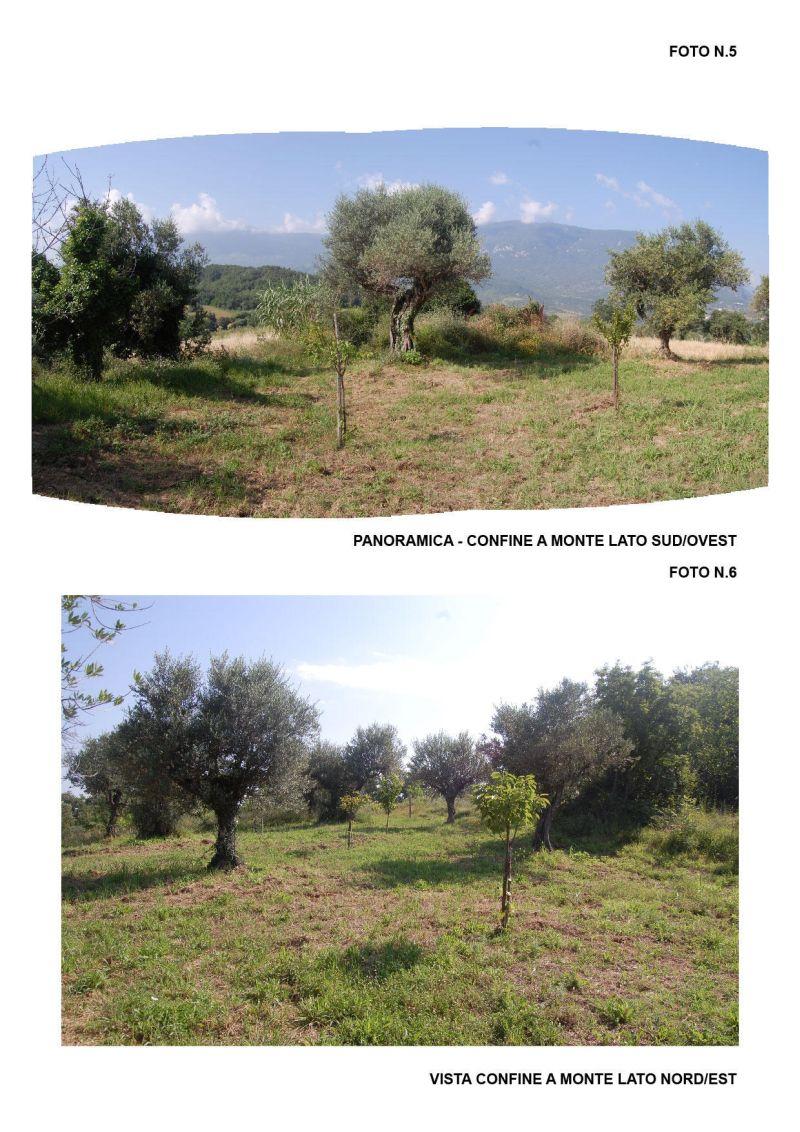 immobile terreno all'asta in Contrada Vicenna Bolognano (PE) - 4