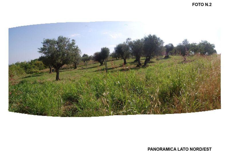immobile terreno all'asta in Contrada Vicenna Bolognano (PE) - 1