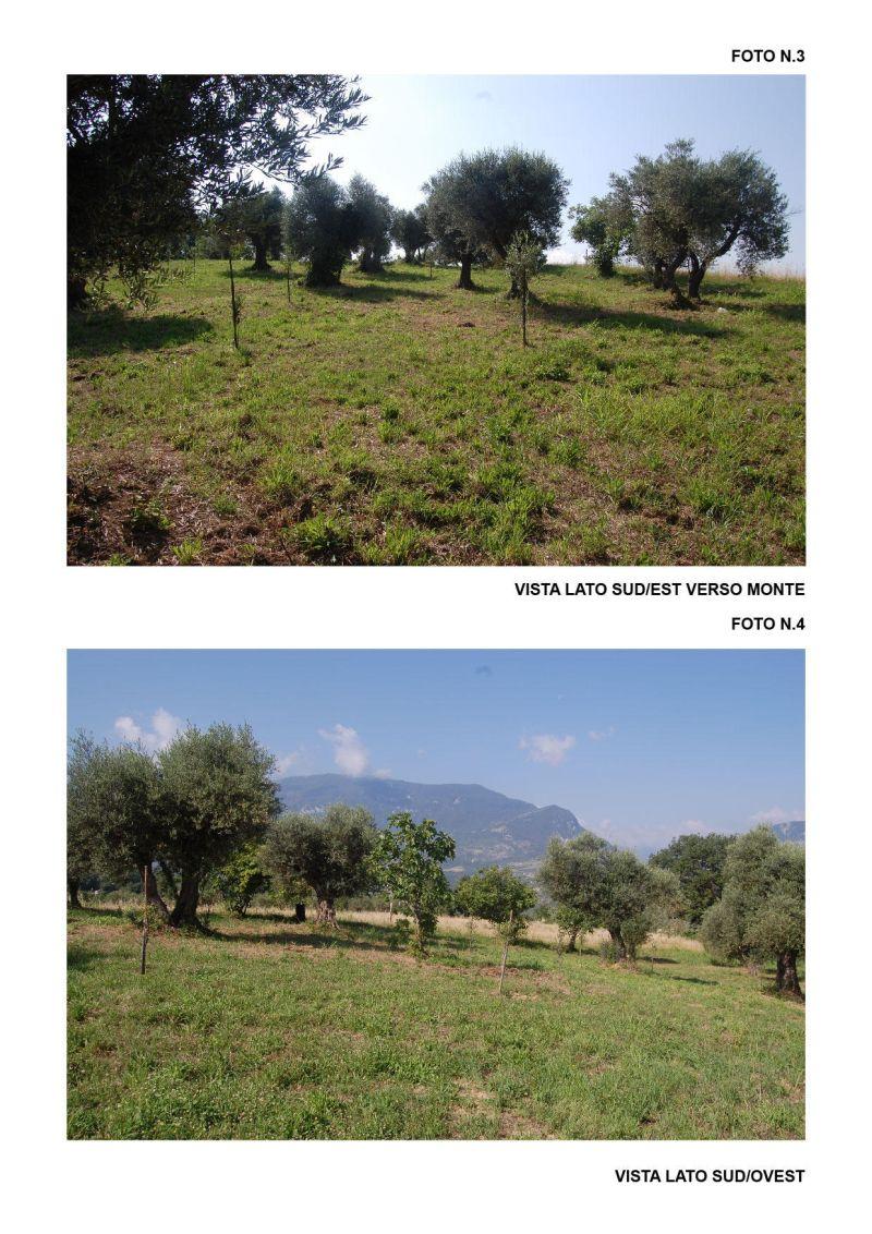 immobile terreno all'asta in Contrada Vicenna Bolognano (PE) - 3