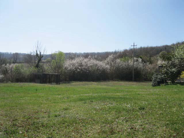 immobile terreno all'asta in Localita' Doccia - Strada vicinale di Montalto snc - 50065 Pontassieve (FI) - 1