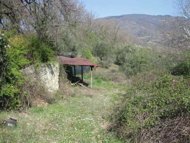 immobile terreno all'asta in Localita' Doccia - Strada vicinale di Montalto snc - 50065 Pontassieve (FI) - 2