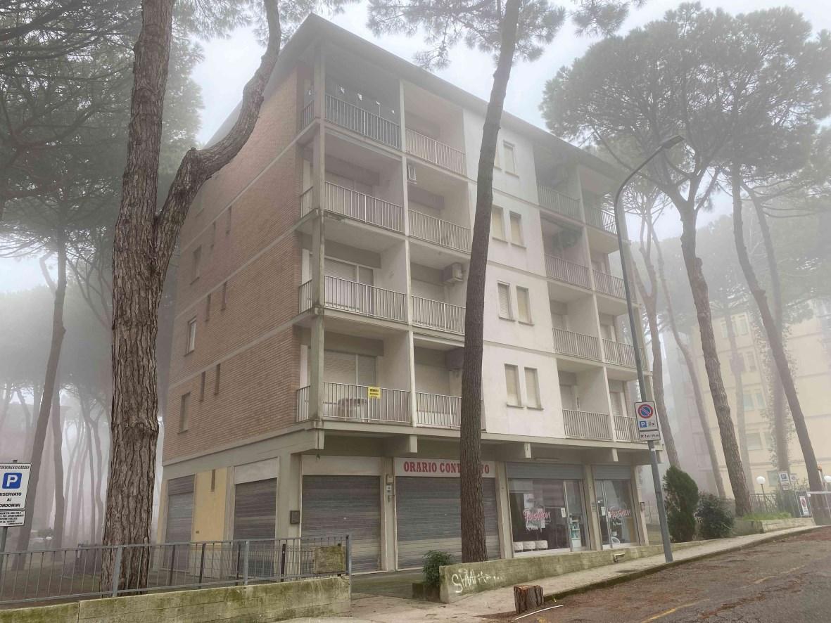 immobile negozio all'asta in Lido Degli Estensi, Via dei Lecci - 44022 Comacchio (FE) - 1