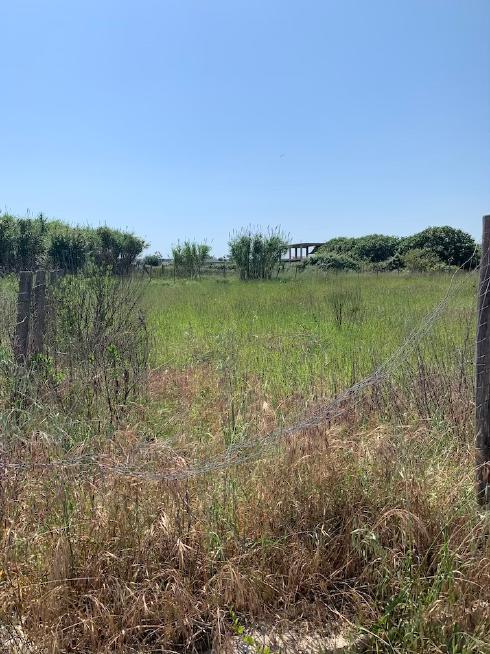 immobile terreno all'asta in Via R Anatriello - 80027 Frattamaggiore (NA) - 2