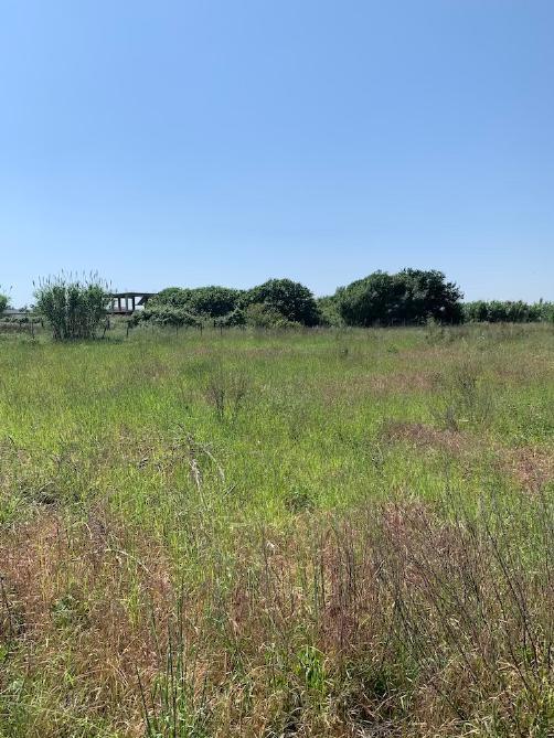immobile terreno all'asta in Via R Anatriello - 80027 Frattamaggiore (NA) - 3