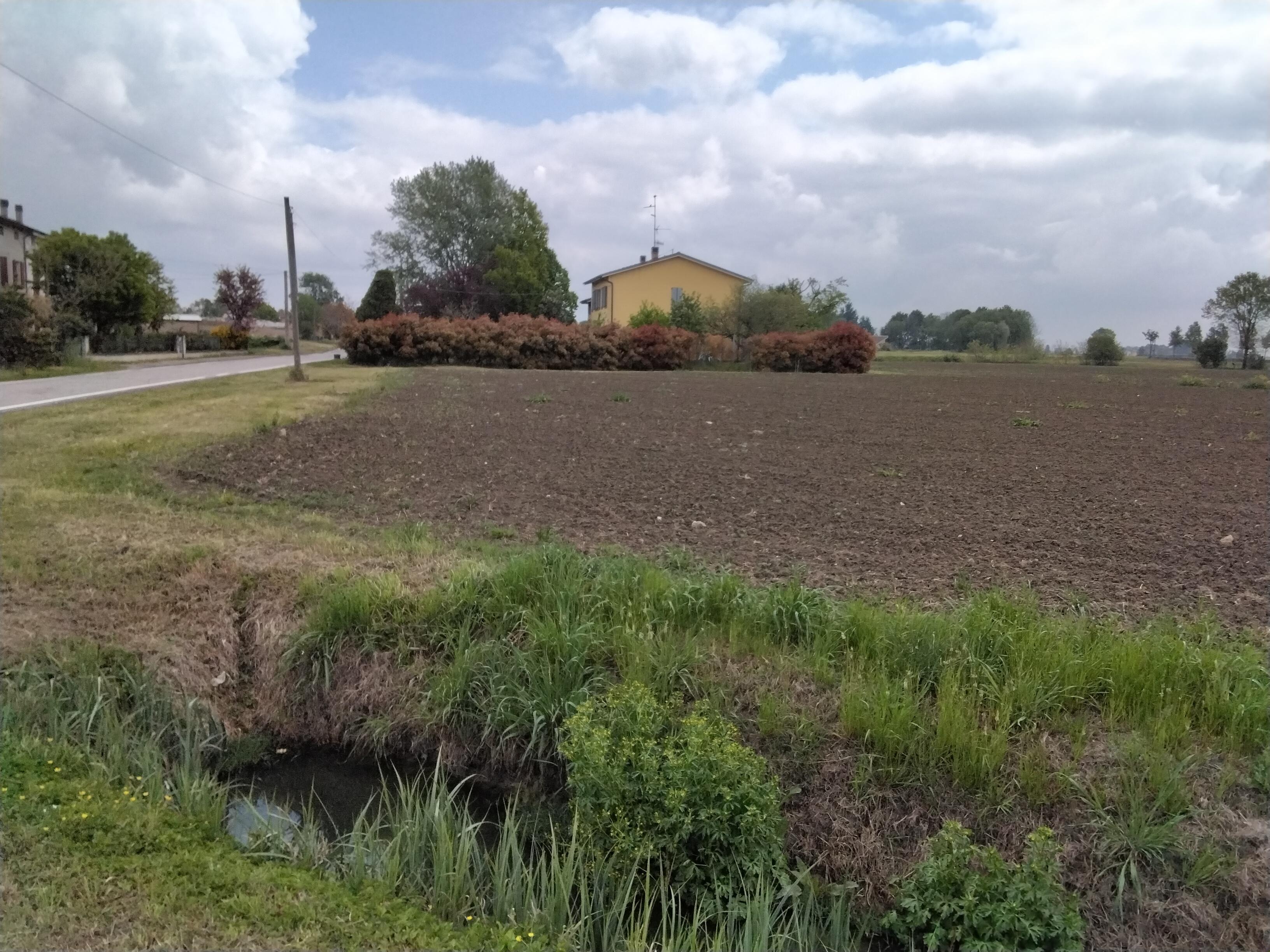 immobile terreno all'asta in Via Abbazia - 42012 Campagnola Emilia (RE) - 3