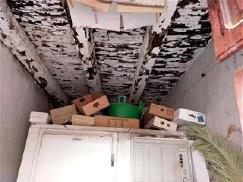 immobile appartamento all'asta in Via Millefiori 6 - 87019 Spezzano Albanese (CS) - 2