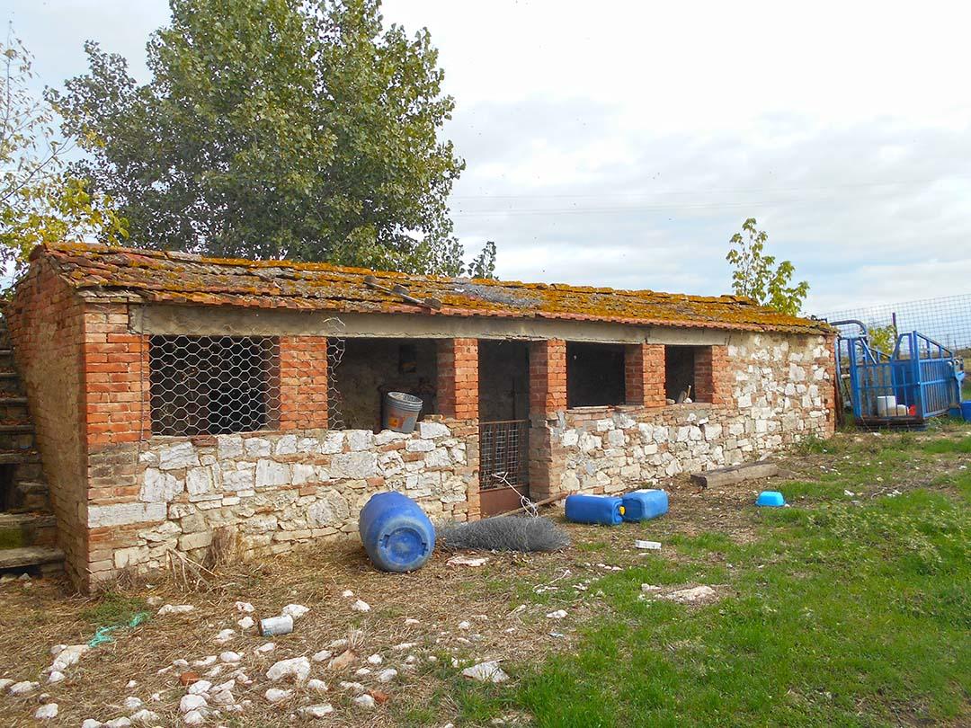 immobile appartamento all'asta in SP 12 Traversa Romana Lauretana n 6, Loc Podere Rofeno II - 53041 Asciano (SI) - 1
