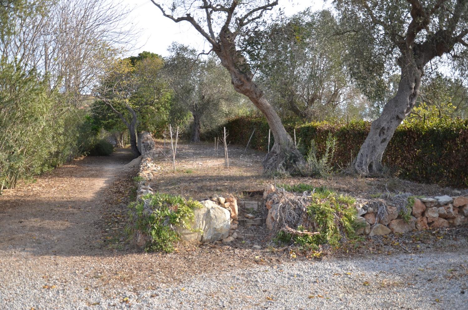 immobile villa all'asta in VIA TALAMONESE 8 - FONTEBLANDA - 58015 Orbetello (GR) - 5