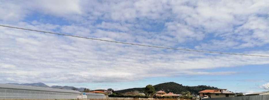 immobile terreno all'asta in Località Reina - 81050 Francolise (CE) - 1