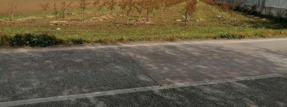 immobile terreno all'asta in Località Reina - 81050 Francolise (CE) - 2