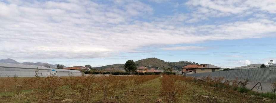 immobile terreno all'asta in Località Reina - 81050 Francolise (CE) - 3