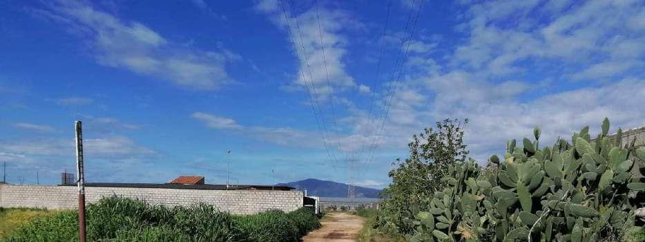 immobile terreno all'asta in Località Reina - 81050 Francolise (CE) - 5